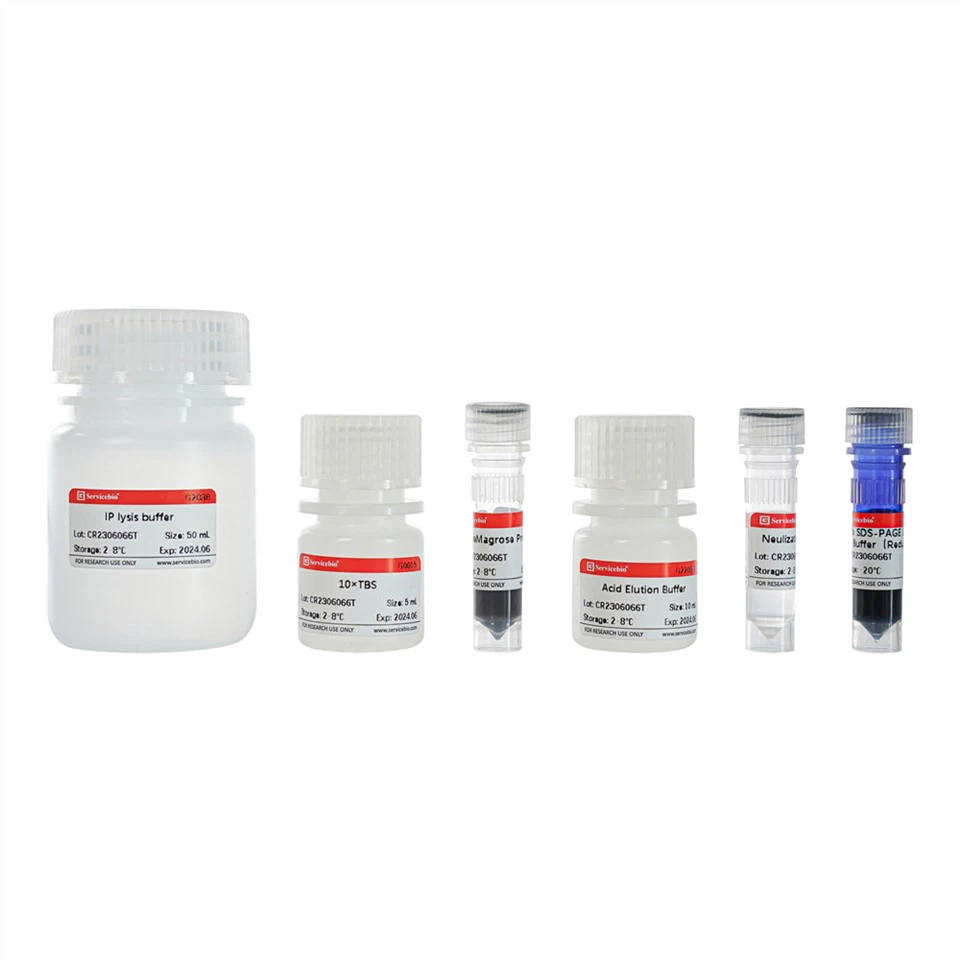 Immunoprecipitation Kit (Protein G Magnetic Beads)