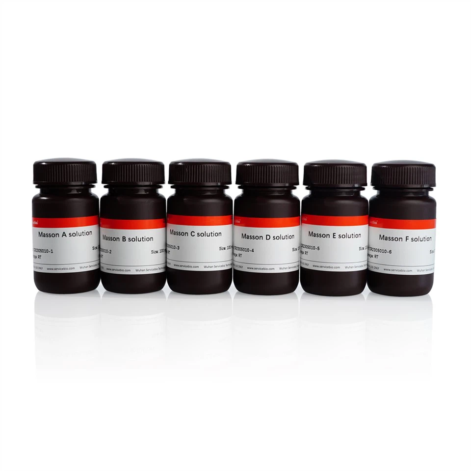 Masson Tricolor Staining Kit