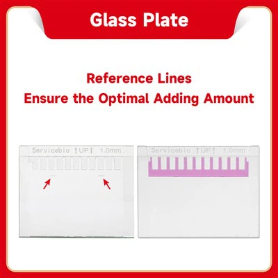 Kovera lasilevy, 1.0 mm (Servicebio ja Bio-rad, referenssilinjalla)