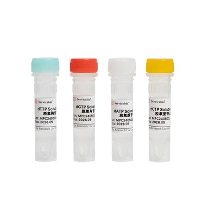 DNTPs Solution Kit (dATP, DGTP, DCTP, DTTP, 100 MM kukin)