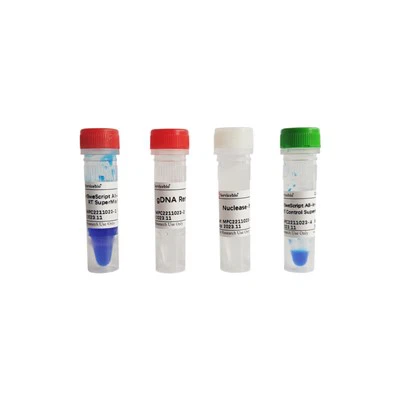 SweScript All-in-One Blue RT SuperMix QPCR:lle (One-Step GDNA Remover)