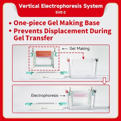 Pystysuuntainen elektroforeesijärjestelmä