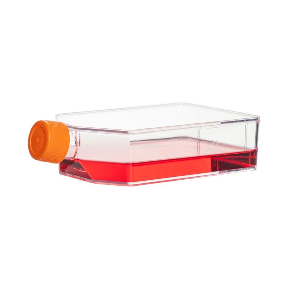 T175 Cell Culture Flask (3)